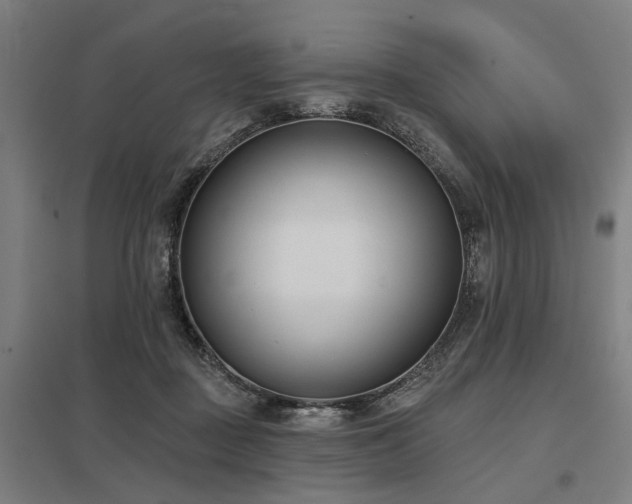 X0000098050363200803281500