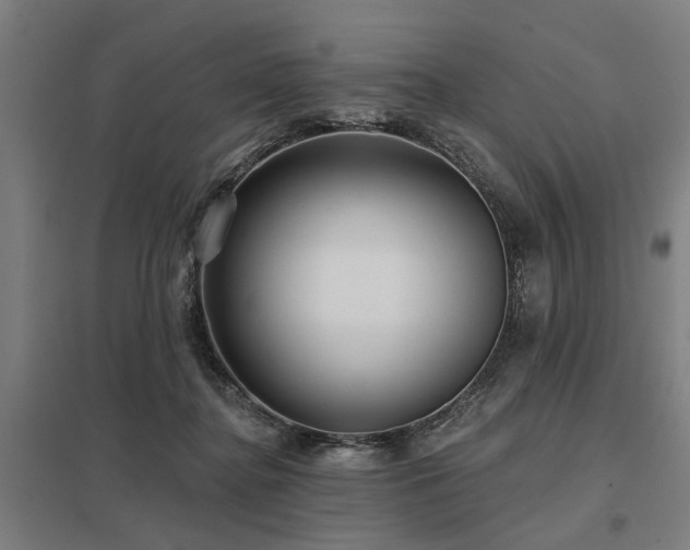 X0000098050364200803281500