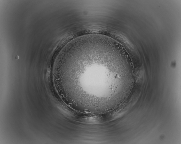 X0000098050365200803281500