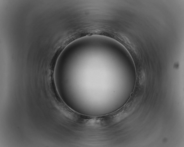 X0000098050366200803281500