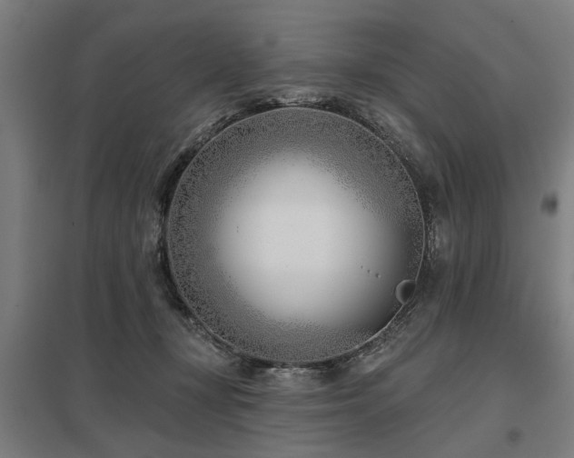 X0000098050367200803281500