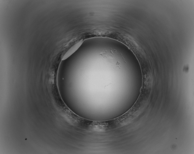 X0000098050368200803281500