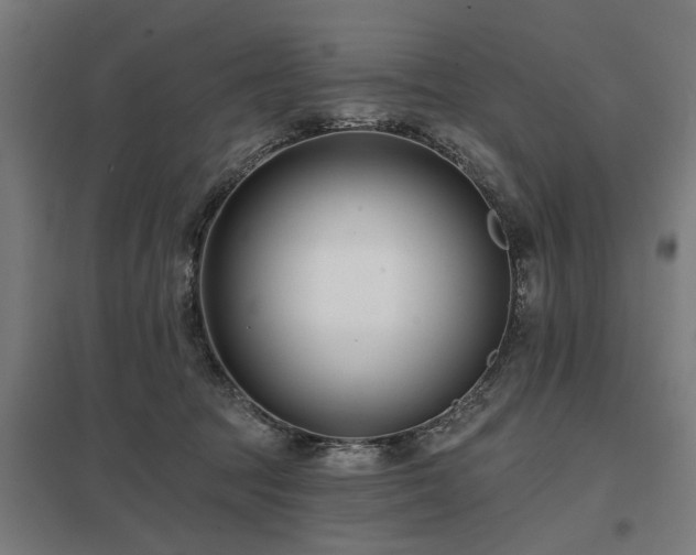 X0000098050369200803281500