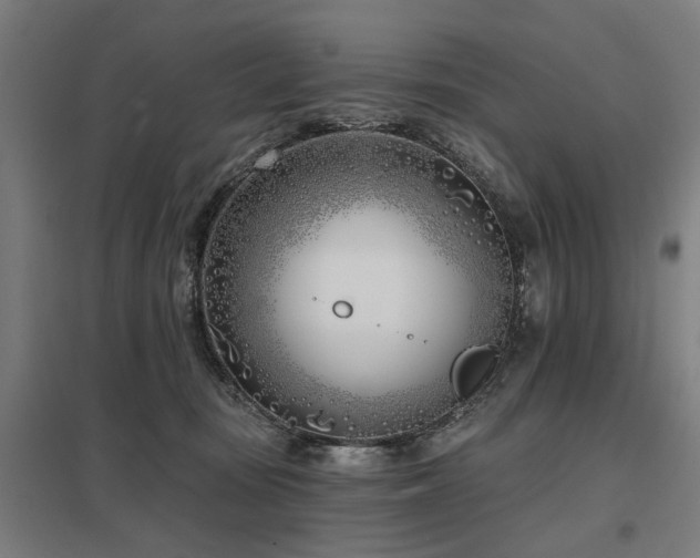 X0000098050371200803281500