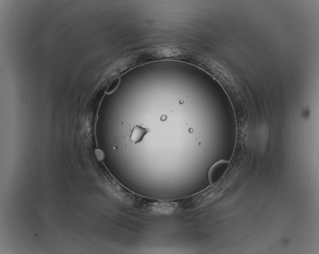 X0000098050373200803281500