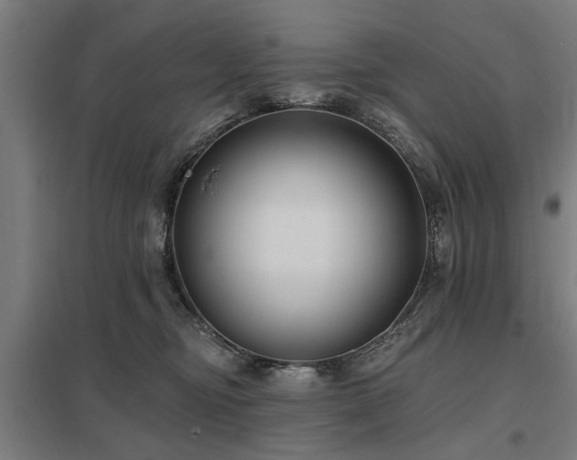 X0000098050374200803281500