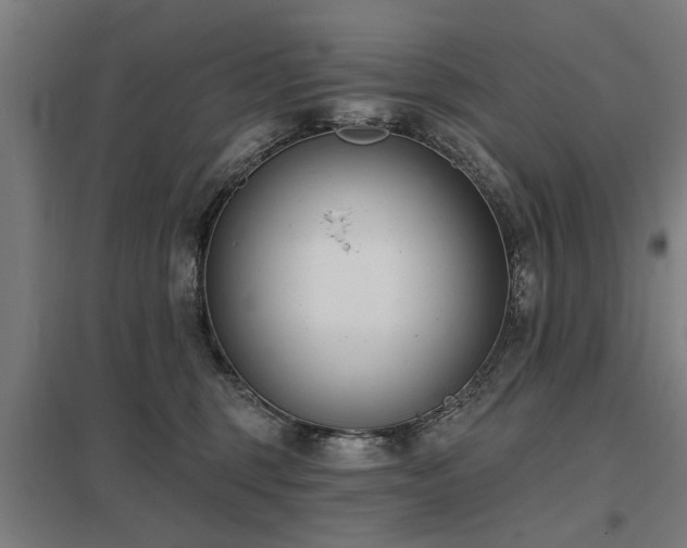 X0000098050375200803281500