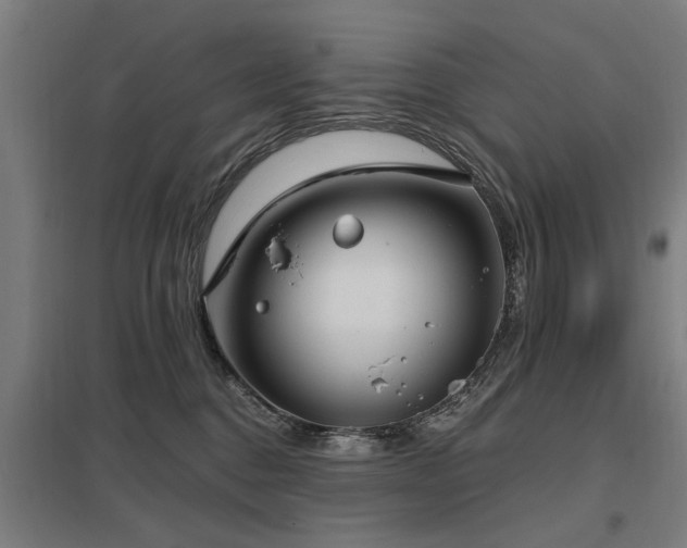 X0000098050376200803281500