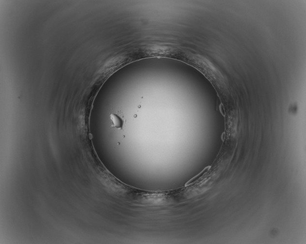 X0000098050377200803281500