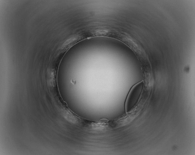 X0000098050378200803281500