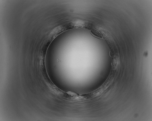 X0000098050379200803281500