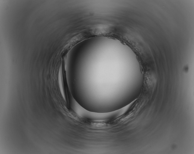 X0000098050380200803281501