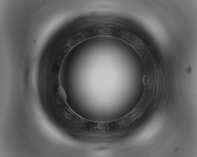 X0000098050383200803281501