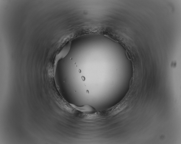 X0000098050384200803281501