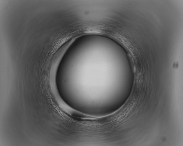 X0000098050385200803281500