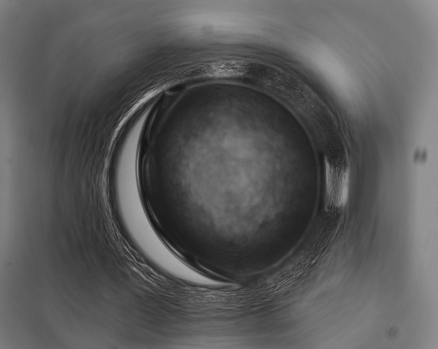 X0000098050387200803281500