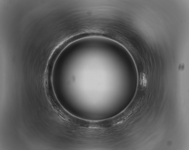 X0000098050388200803281500