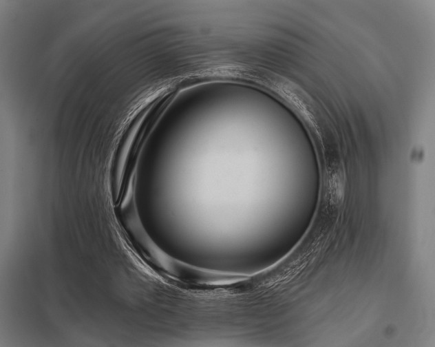 X0000098050389200803281500