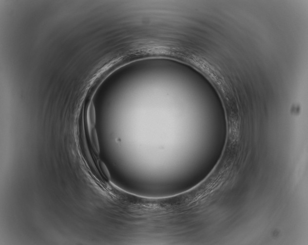 X0000098050390200803281500