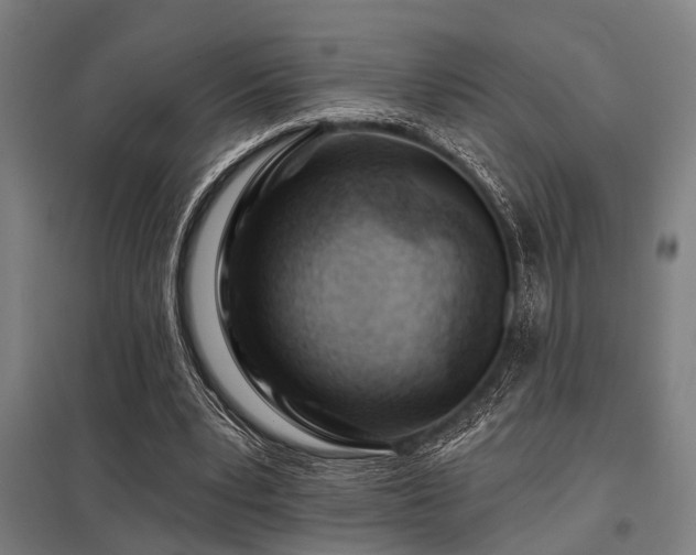 X0000098050391200803281500