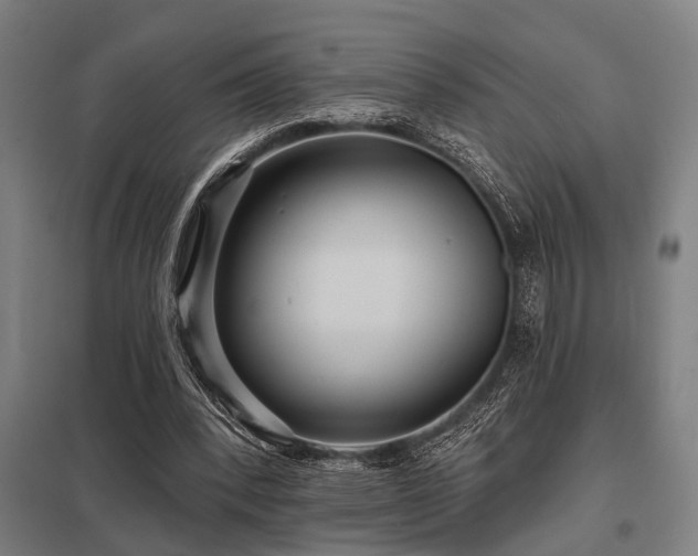 X0000098050392200803281500