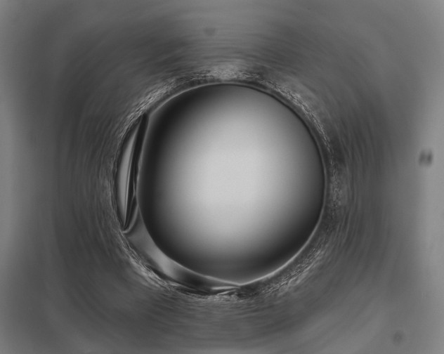 X0000098050393200803281500