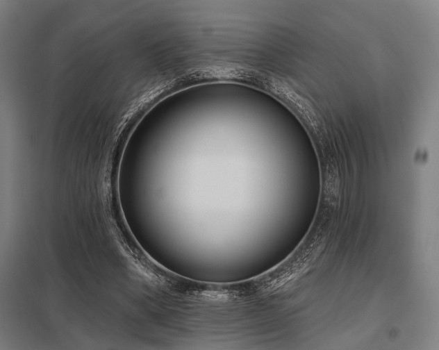 X0000098050394200803281500