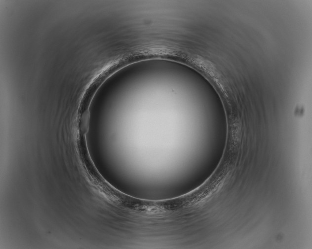 X0000098050395200803281500