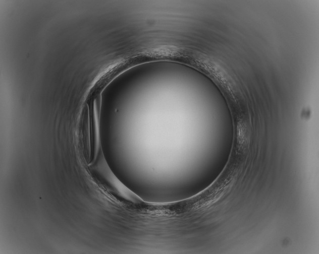 X0000098050396200803281500