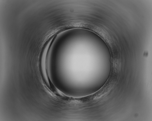 X0000098050397200803281500