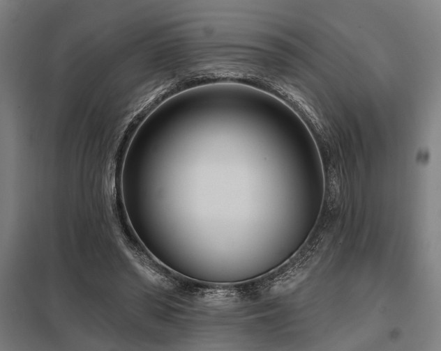 X0000098050398200803281500