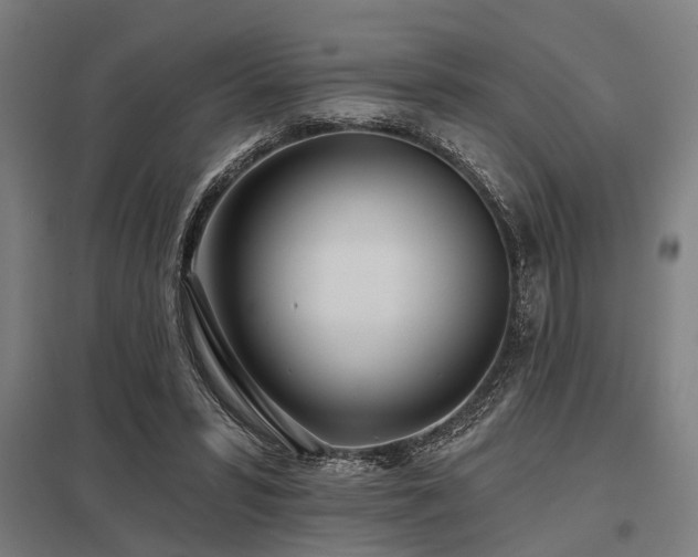 X0000098050399200803281500