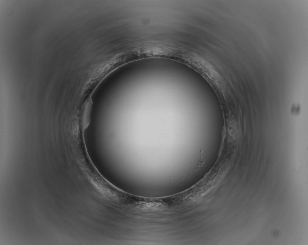 X0000098050401200803281500