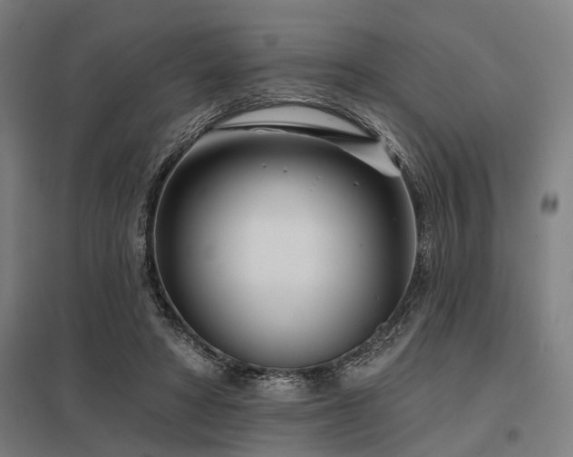 X0000098050402200803281459