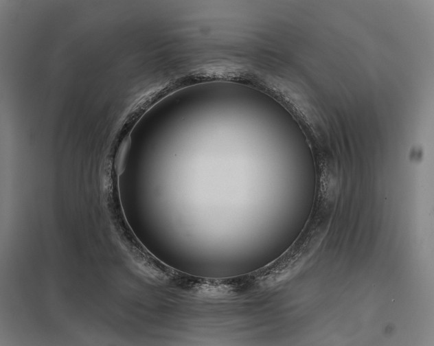 X0000098050403200803281459