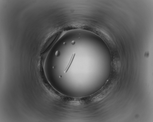 X0000098050404200803281459