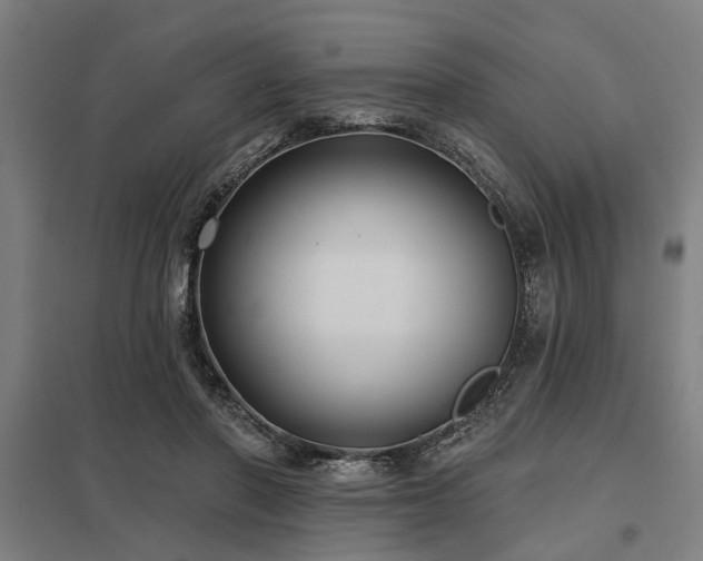 X0000098050406200803281459