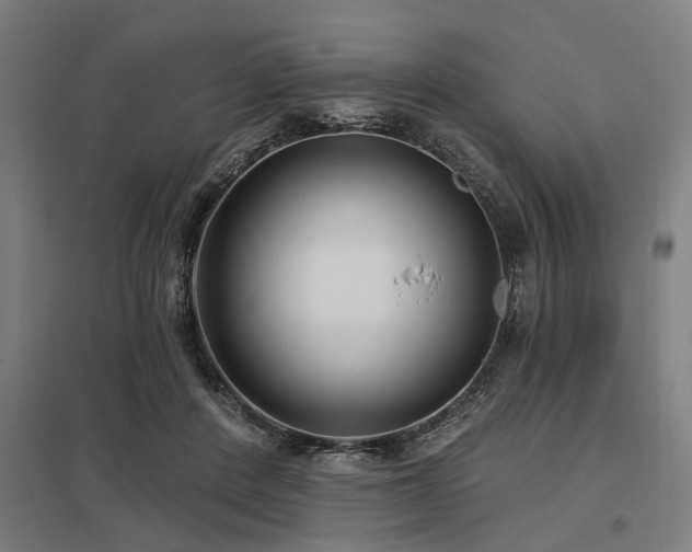 X0000098050408200803281459