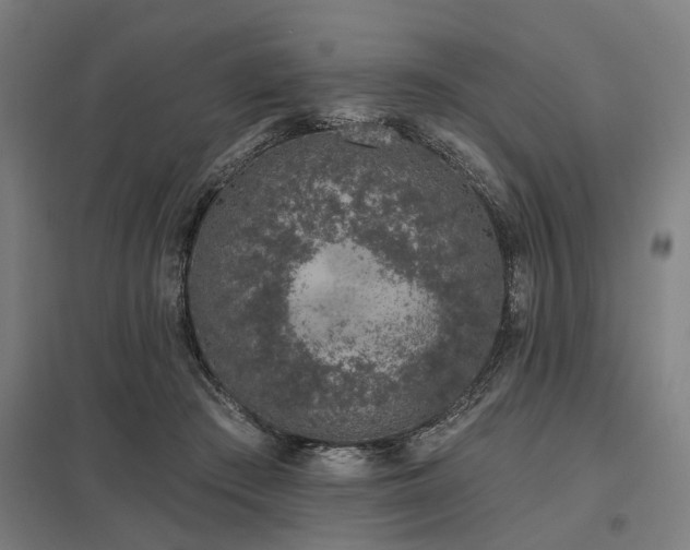 X0000098050409200803281459