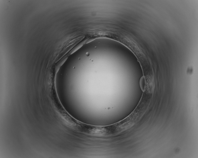 X0000098050410200803281459