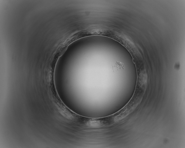 X0000098050413200803281459