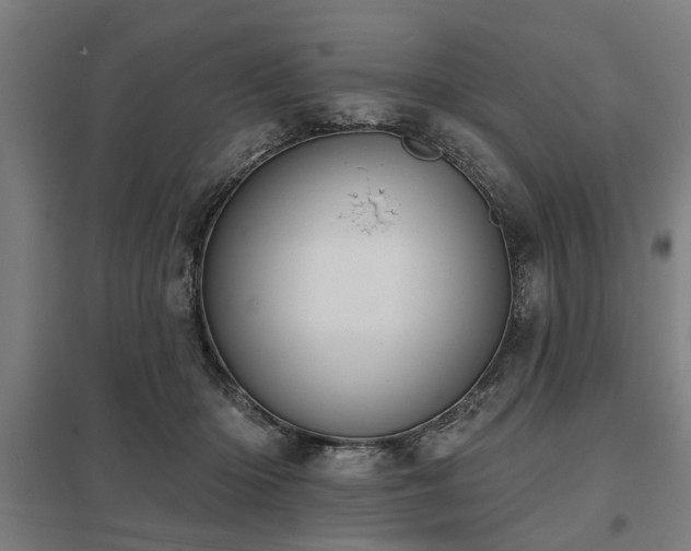 X0000098050414200803281459