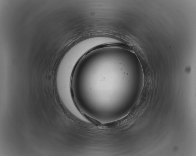 X0000098050415200803281459