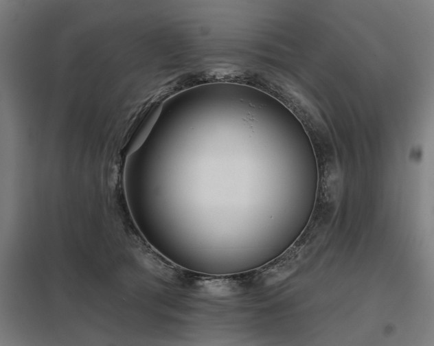 X0000098050417200803281459