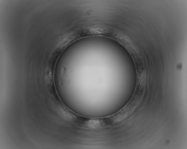 X0000098050418200803281459