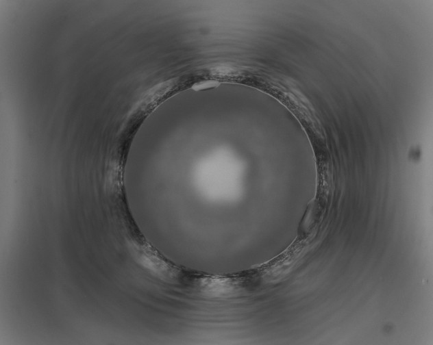 X0000098050419200803281459