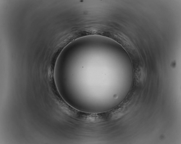 X0000098050420200803281459