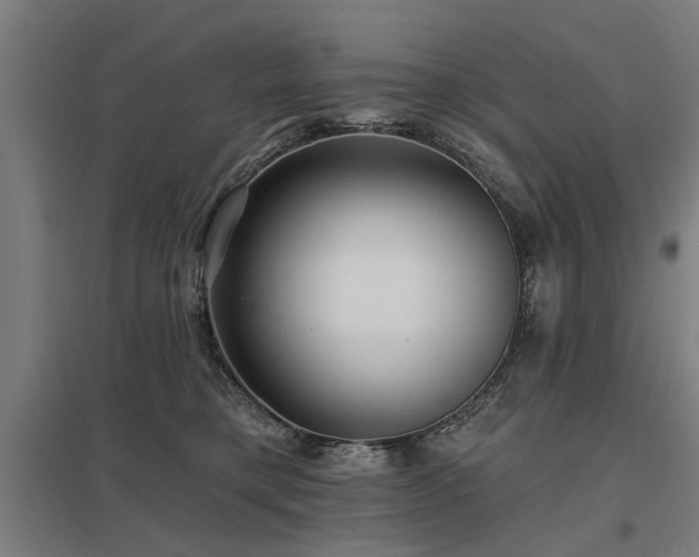 X0000098050421200803281459