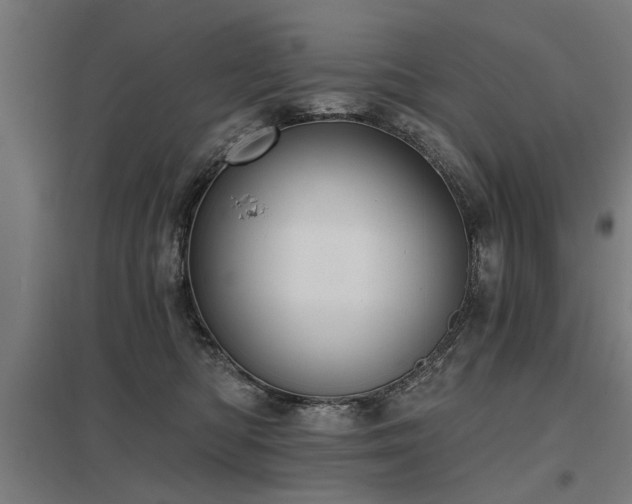 X0000098050422200803281459