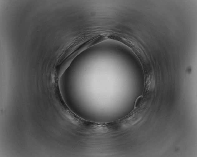 X0000098050424200803281459